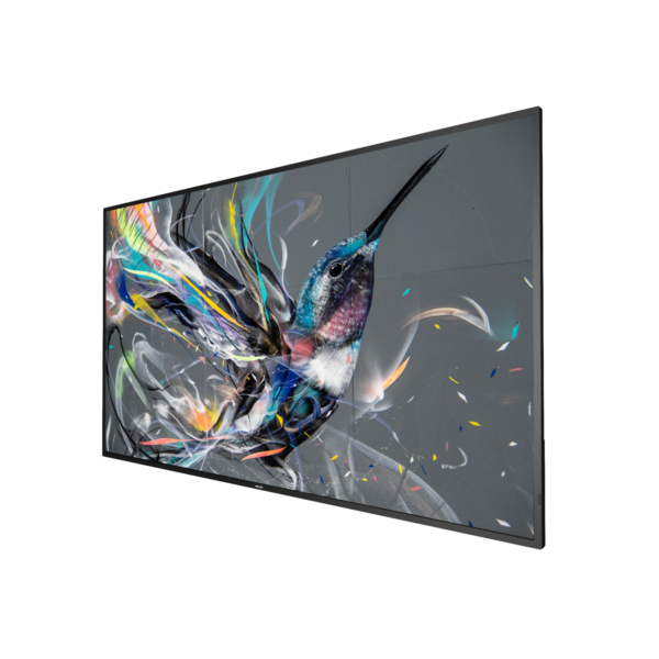 65 inch Philips Q-line FHD
